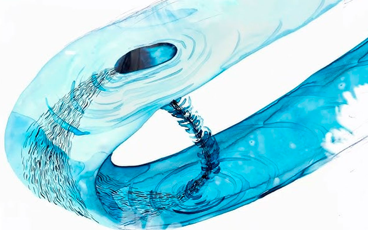 The Warped Side of the Universe, de Paula Froehle