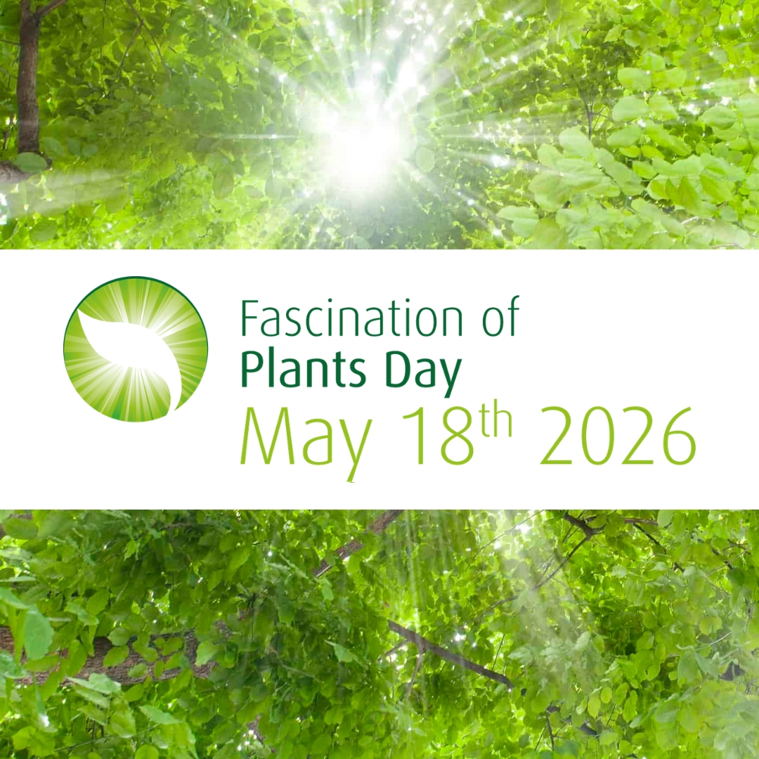 _redes - Plants Day.jpg