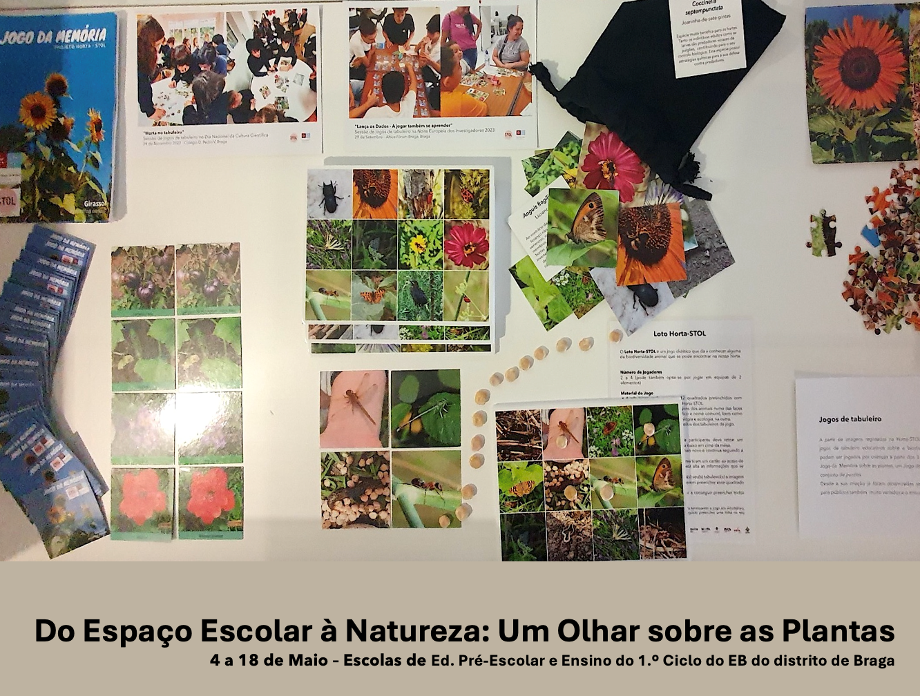 do espaço escolar à natureza imagem 1.png