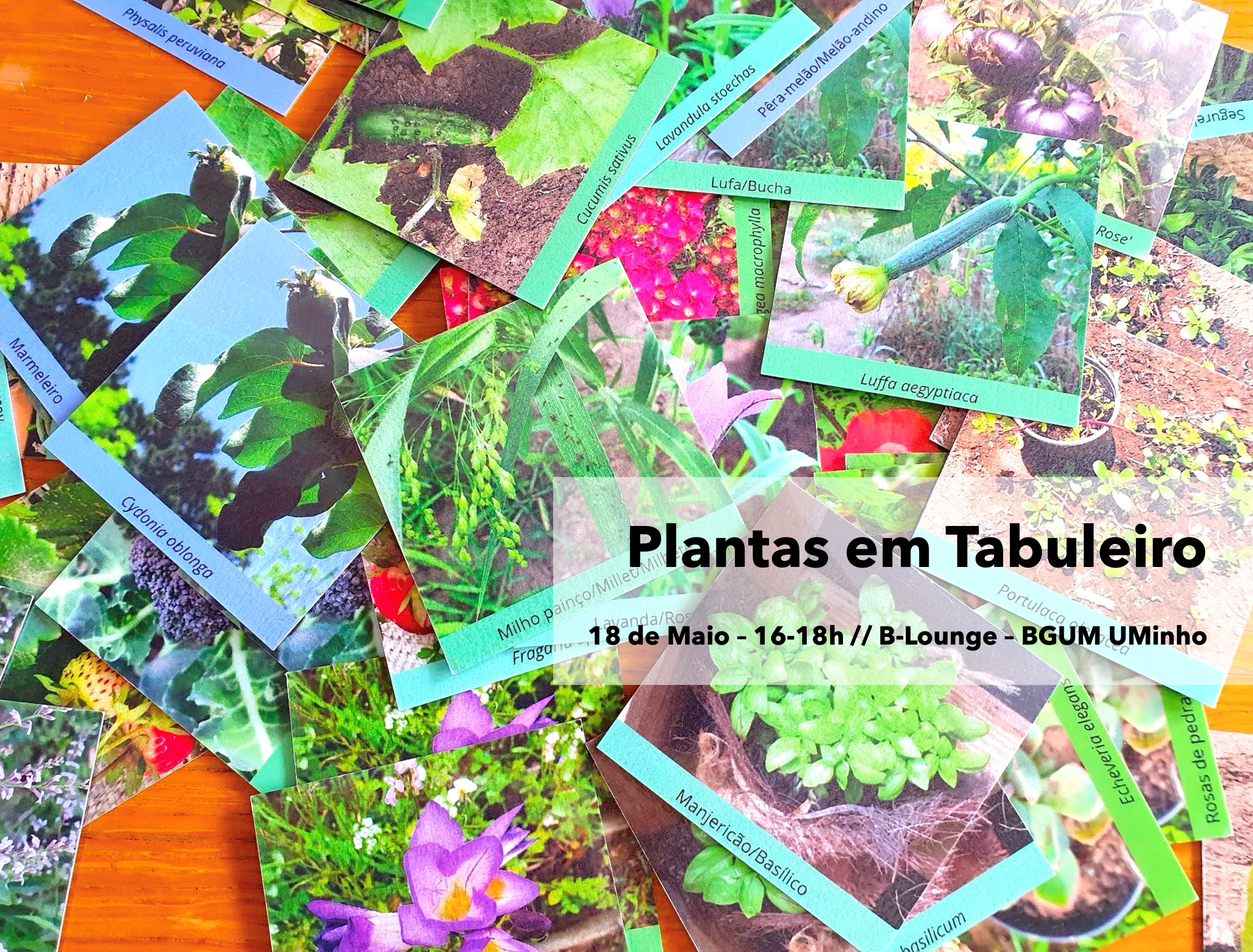 tabuleiro imagem 1.png